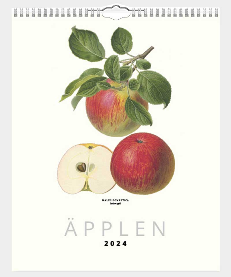 Design Collection Pplen 2024 K P Den I Almanacksbutiken   Applen Omslag 2024 