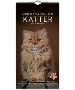 Familjekalender-Katter 2025