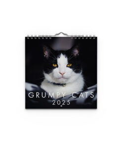 Grumpy Cats 2025