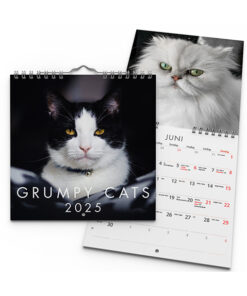 Grumpy Cats 2025