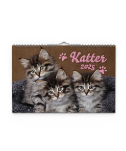 Katter A4 2025